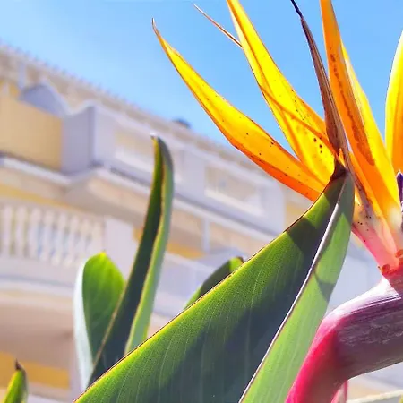 Playa Sol By Costa Apartment Denia